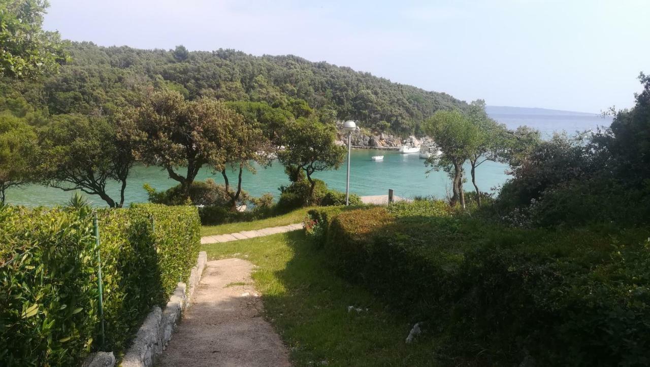 Novak Rab Town